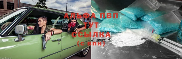 гидра Алексин