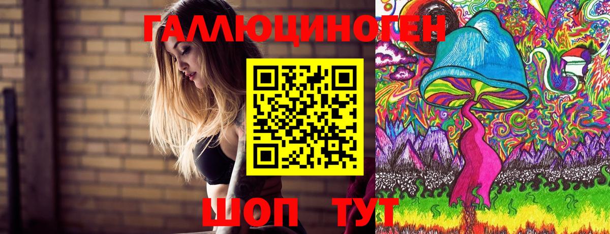 Большой Камень  Галлюциногенные грибы прущие грибы  наркота  Вход с VPN 